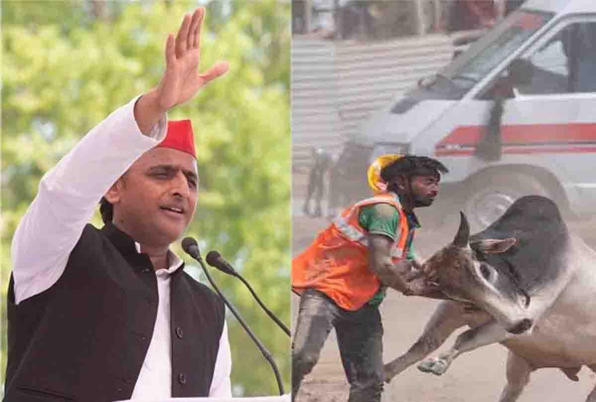 akhilesh yadav attacks bjp for lok sabha elections 2019