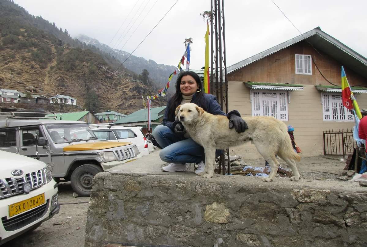 why rohit shekhar wife apoorva shukla do not get bail these argument of delhi police is reason