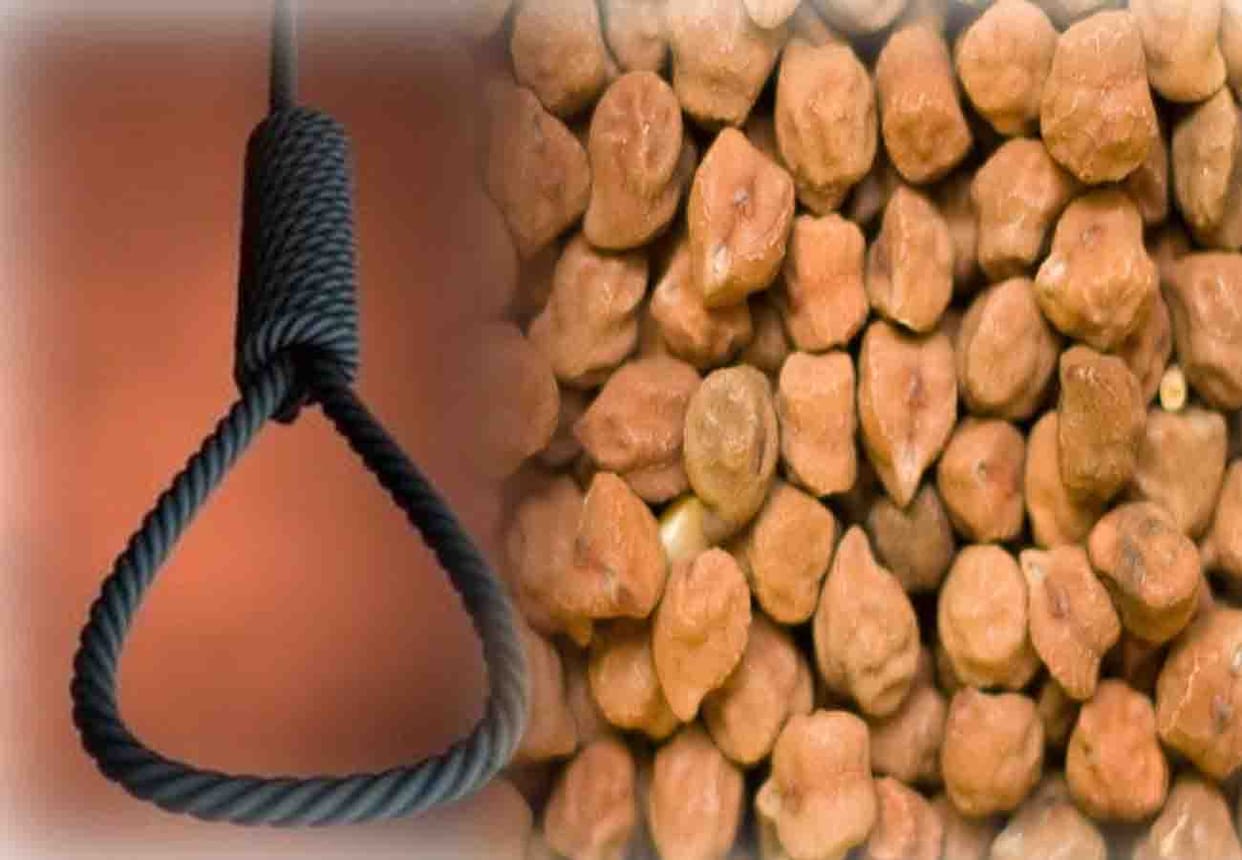 wife committed suicide being angry with husband