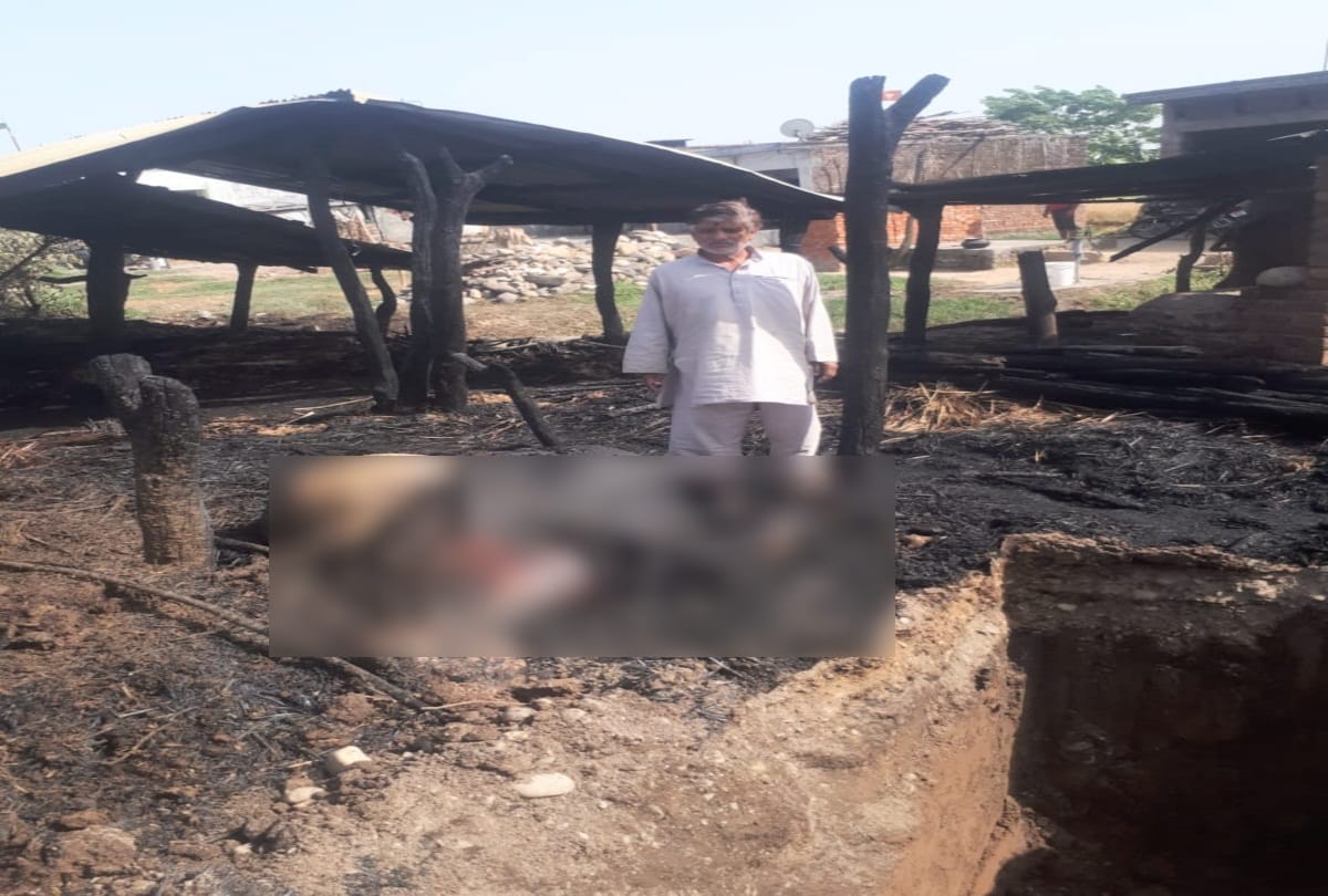 two cowshed gutted in fire in paonta sahib sirmour
