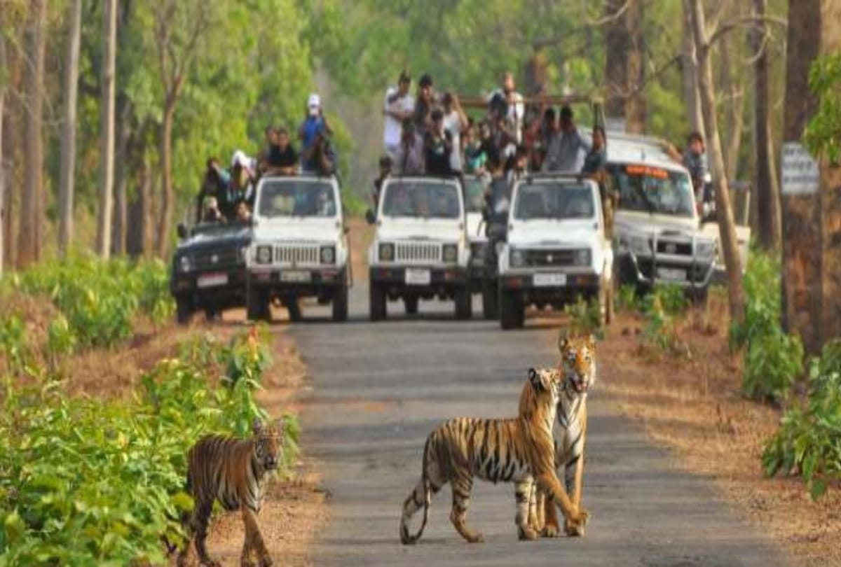 Best Tourist Places To Visit In January February In India