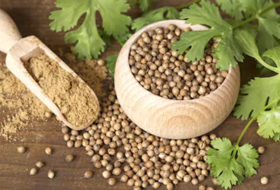 Coriander Seeds Help Manage Blood Sugar Levels And Controls Diabetes