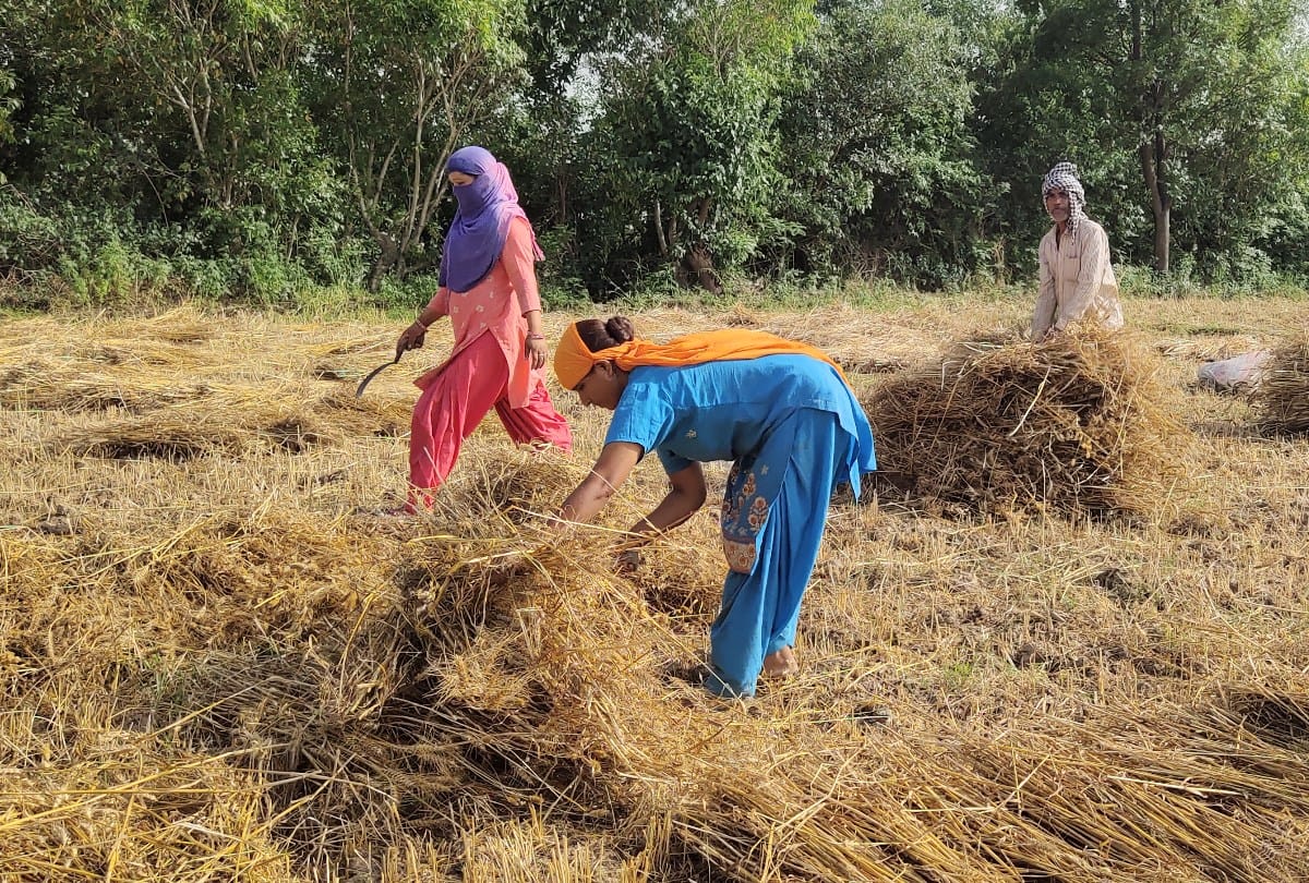 Union Budget: many Expectations among Himachal's 9.56 lakh farmers