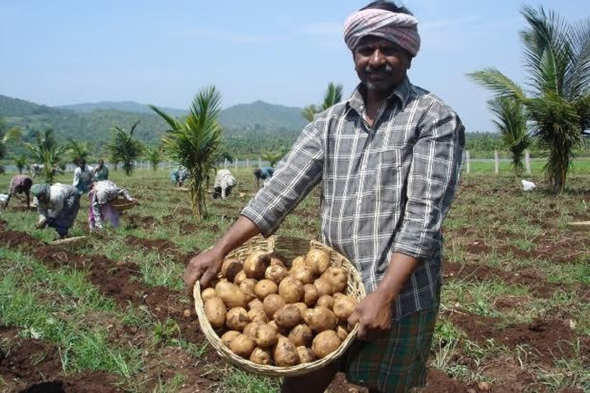 pepsico to withdraw all cases against gujarat potato farmers