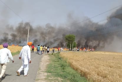 Fire in the field of Punjab, hundreds of acres of wheat crop burnt