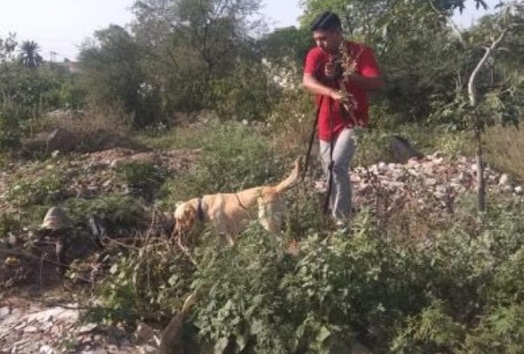 Girl Murdered and Dead Body Burnt Near Mansa Devi Mandir at Panchkula