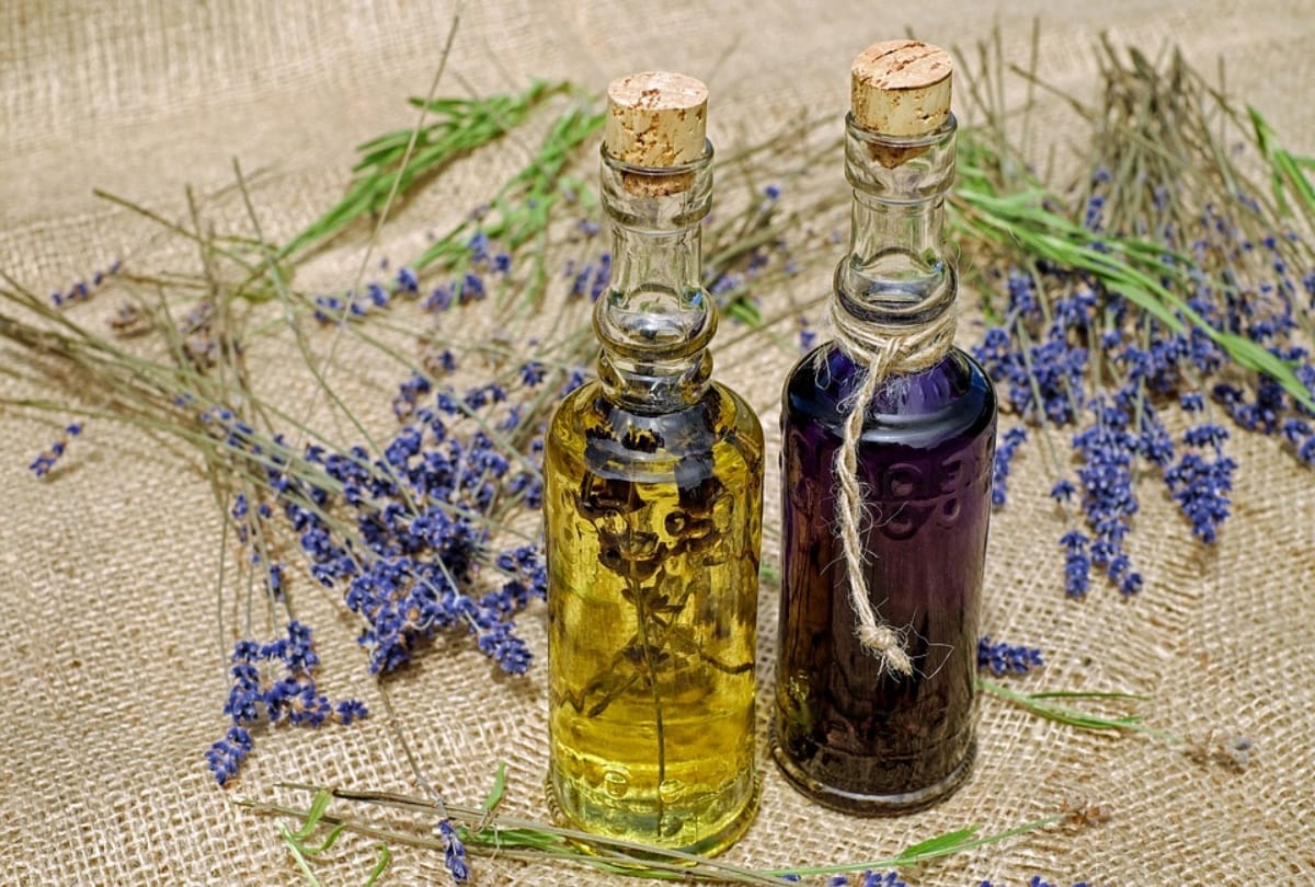 8 effective must try natural repellent for mosquito
