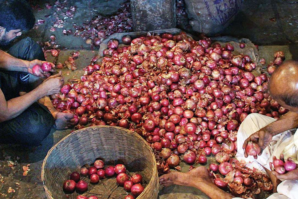 onion price hiked in jammu kashmir, rate more than apple one kg rate