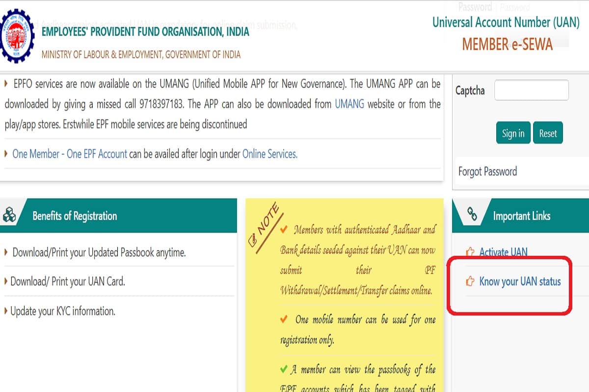How do you find your UAN number online, Know full process