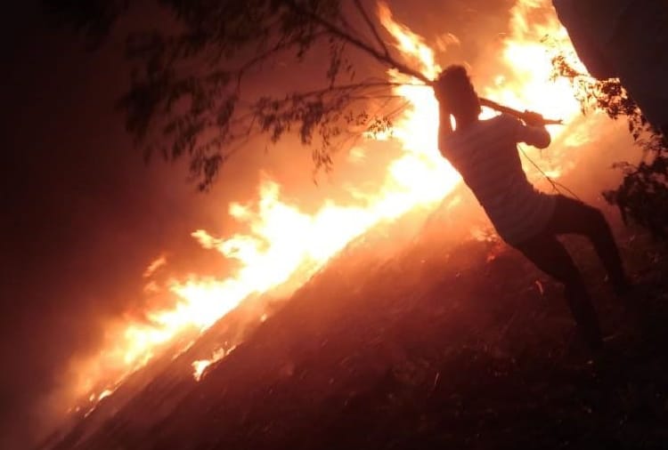 Wheat crop burnt in Beri of Haryana