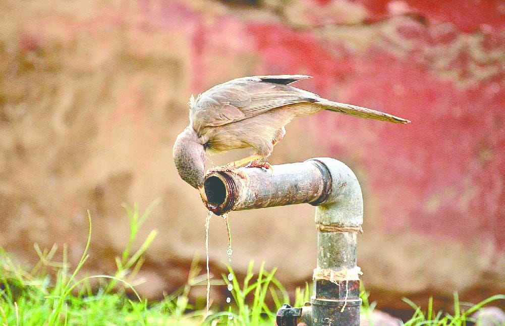 मथुरा में सूर्य देव के तेवर हुए और तीखे, पारा पहुंचा 45 पर