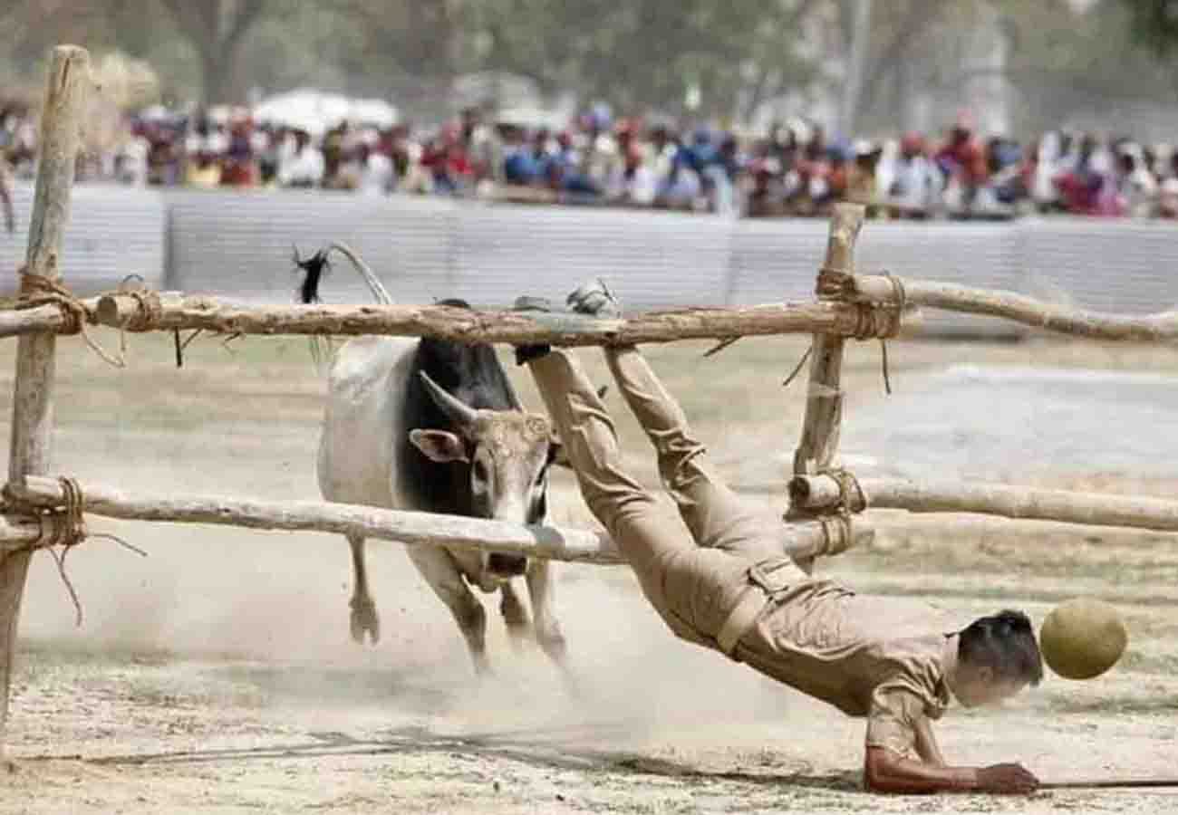 bull entered in akhilesh yadav mayawati rally in kannauj lok sabha election 2019