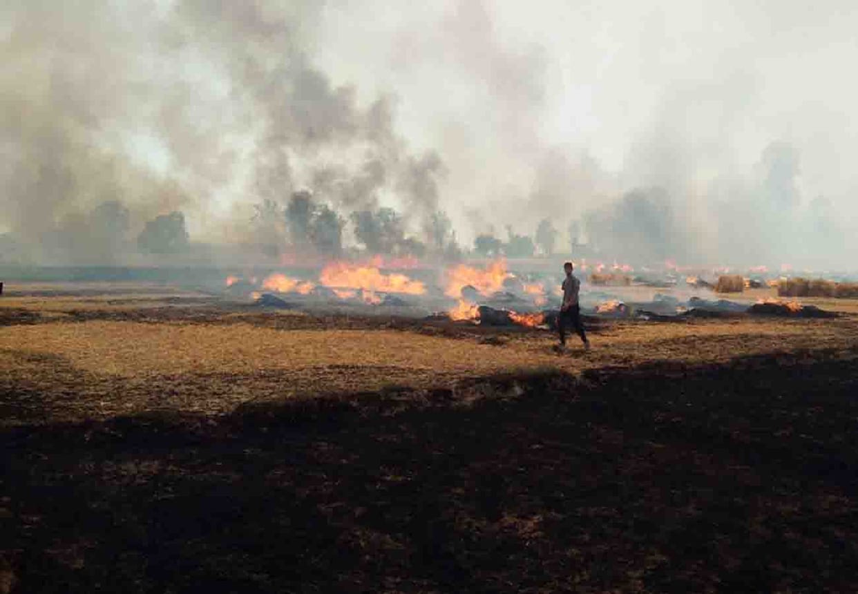 Two thousand bigha wheat crop burnt into ashes in etawah