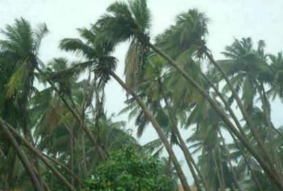 Government issued warning for cyclone fani could reach today in up