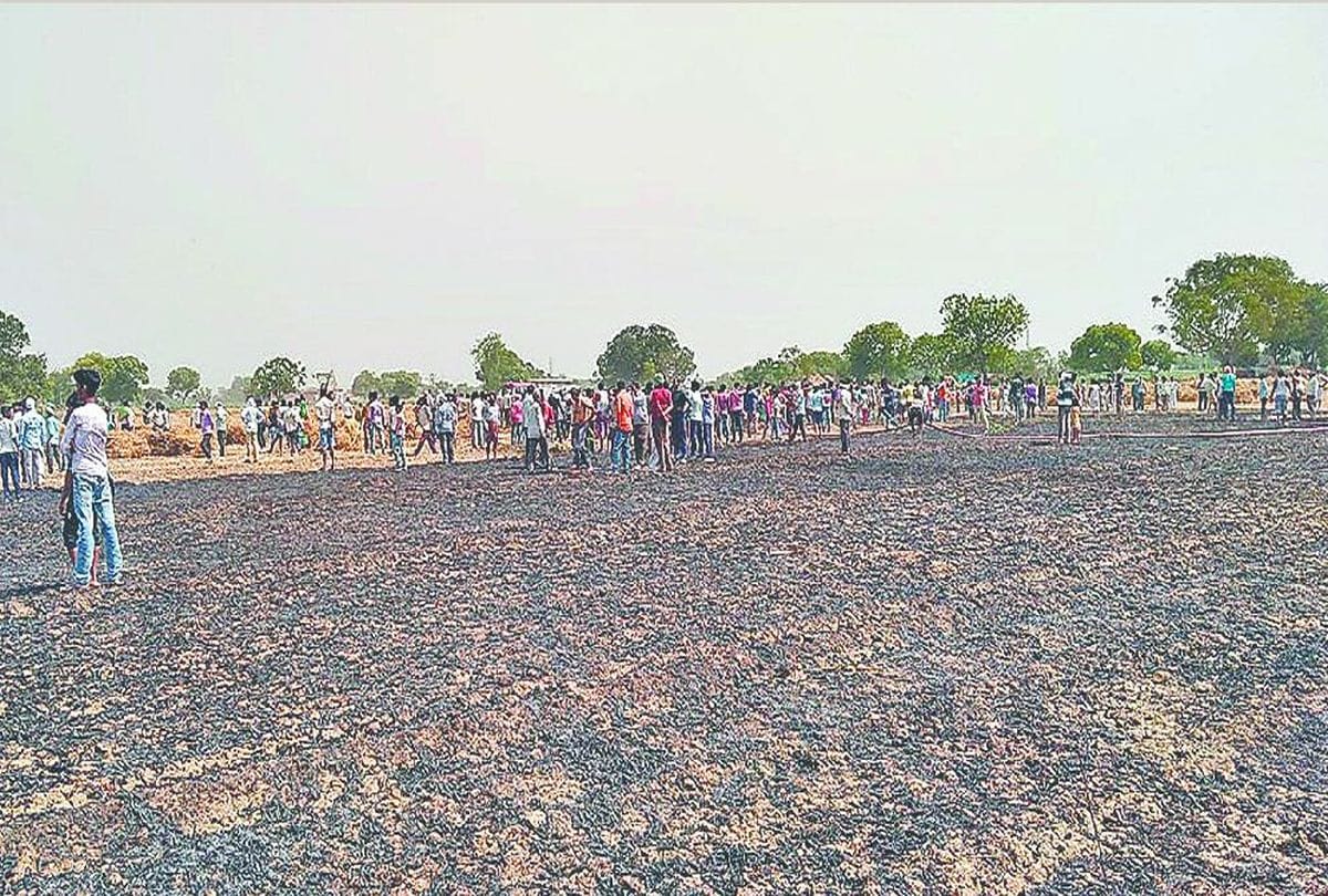 Hundreds of bigha wheat crop burnt in fire in mainpuri