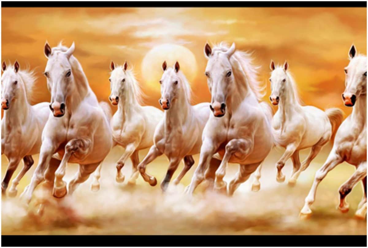 vastu tips these tips can help you for happyness in your life