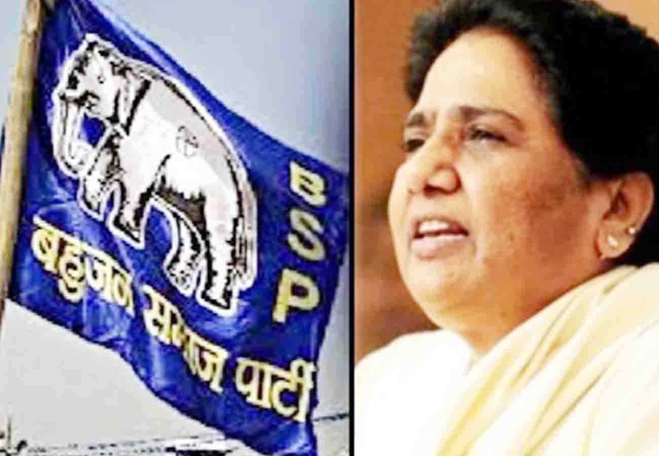 Political parties election campaign for lok sabha election 2019