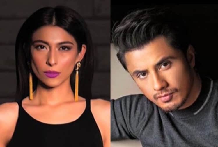 ali zafar sexual harassment by meesha shafi case dismissed
