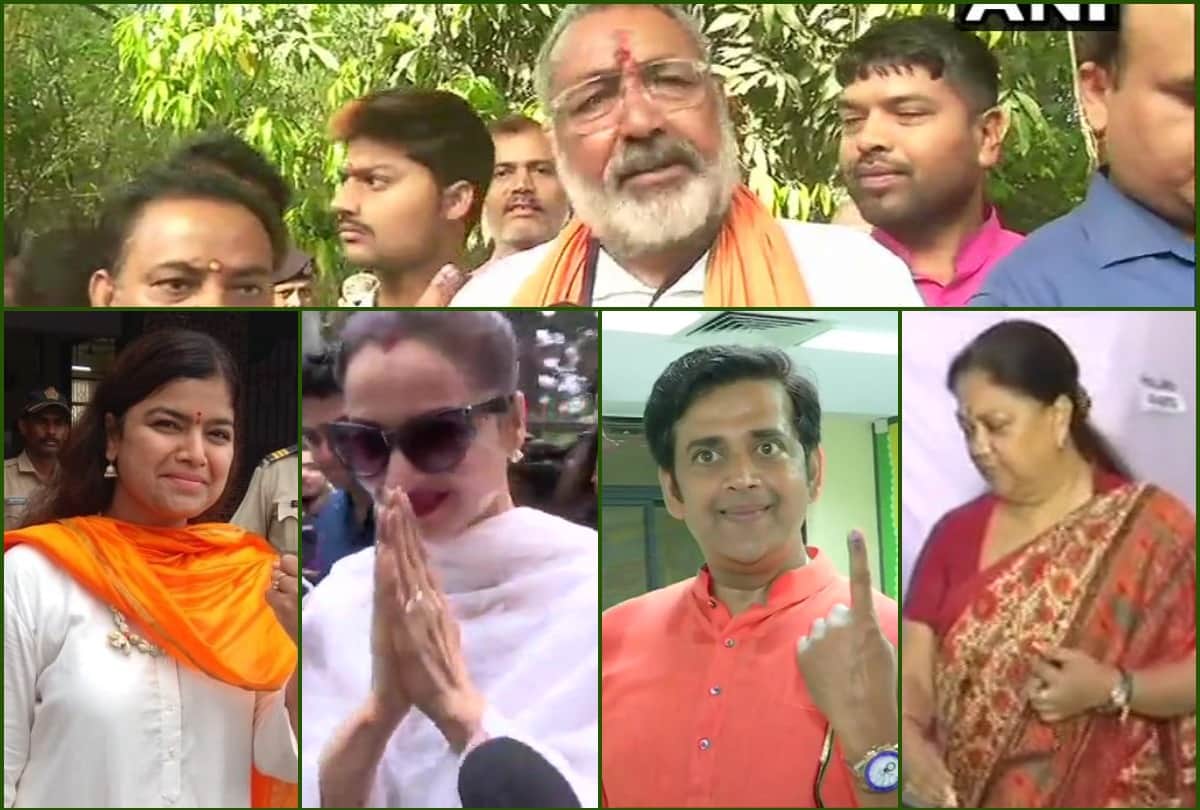 Lok Sabha Chunav 2019: Voters show different colours of democracy during fourth phase of elections