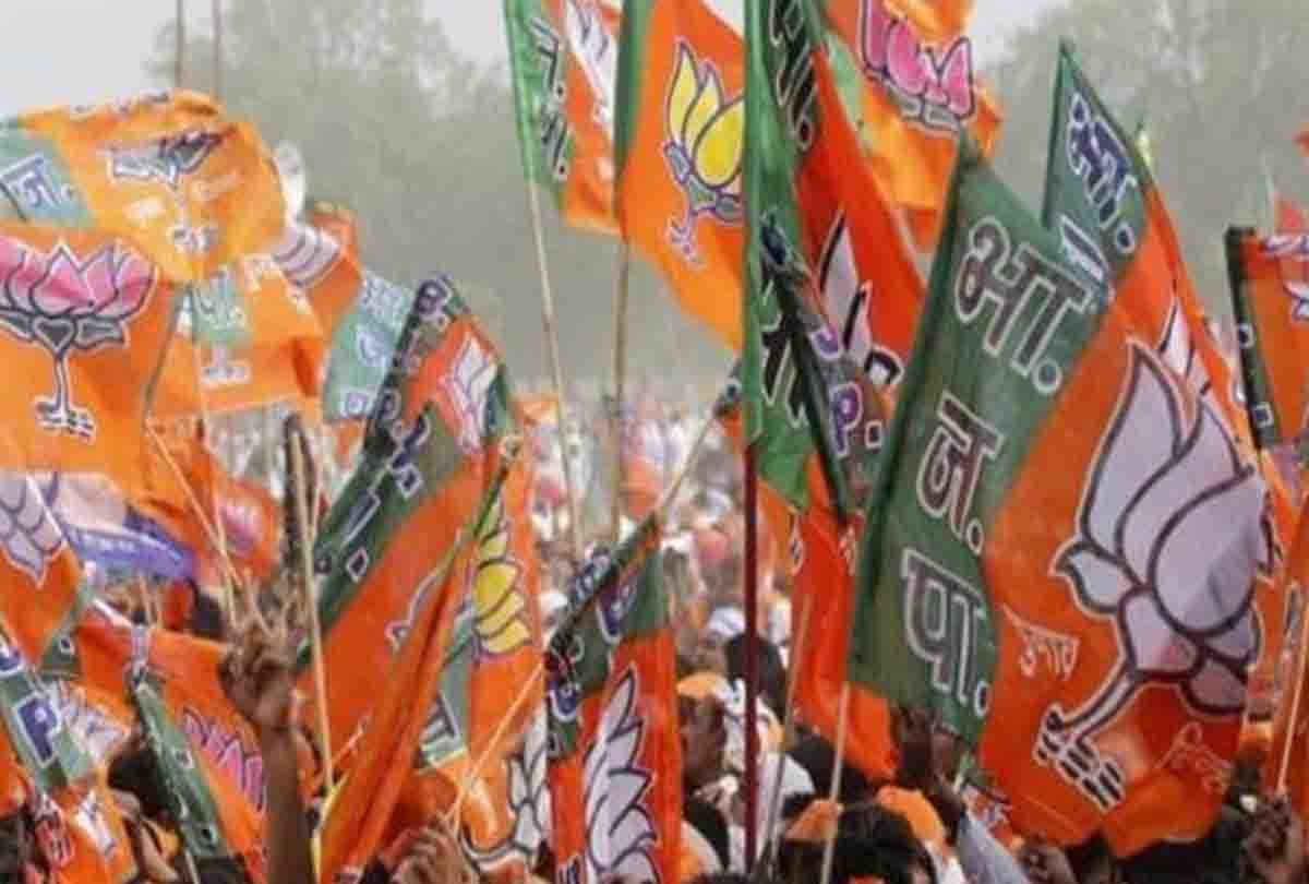 bjp leaders get reward after lok sabha election result