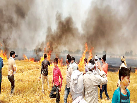 100 thousand two-bigha crop of farmers