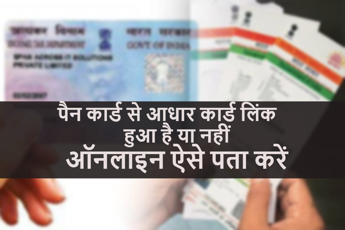 How to Check Your PAN Card is Linked with Aadhaar Card or Not, Follow The Below Steps