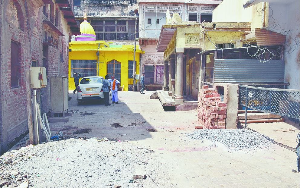 15 दिन में 12 बंदरों की मौत, लोग आशंकित