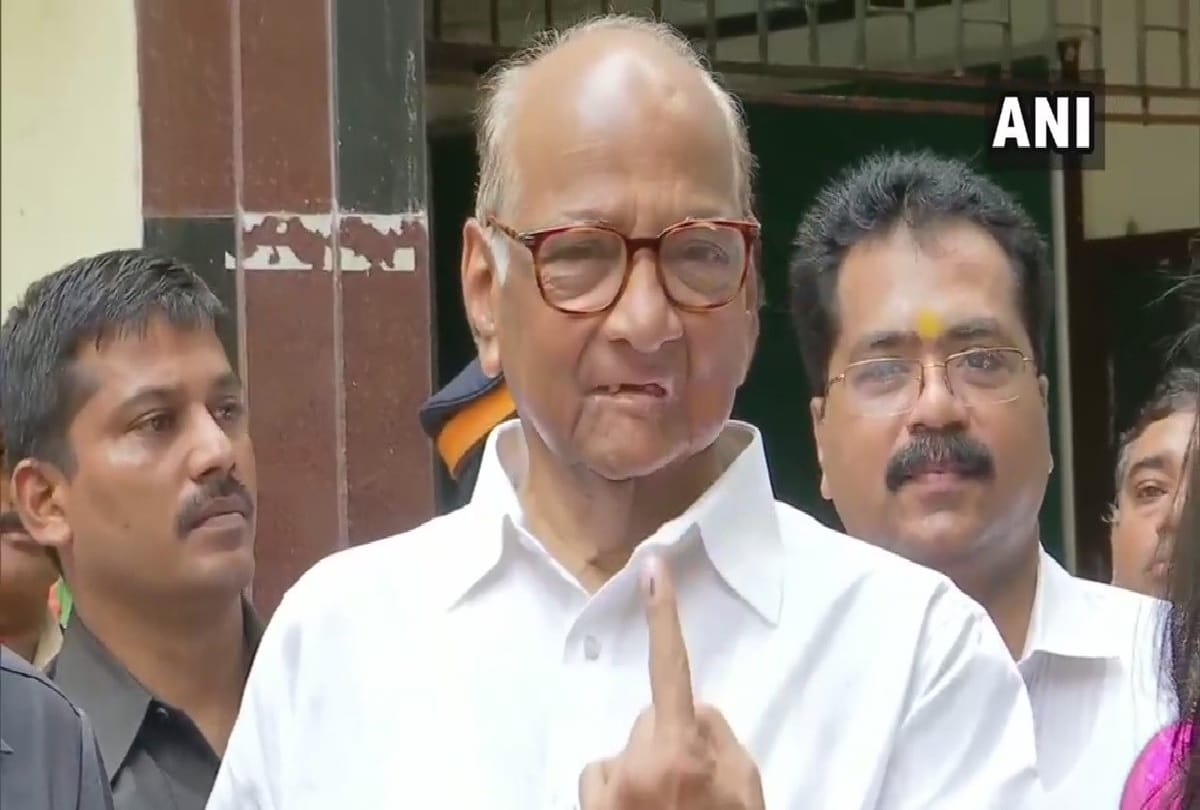 Sharad pawar shows his power in maharashtra assembly election