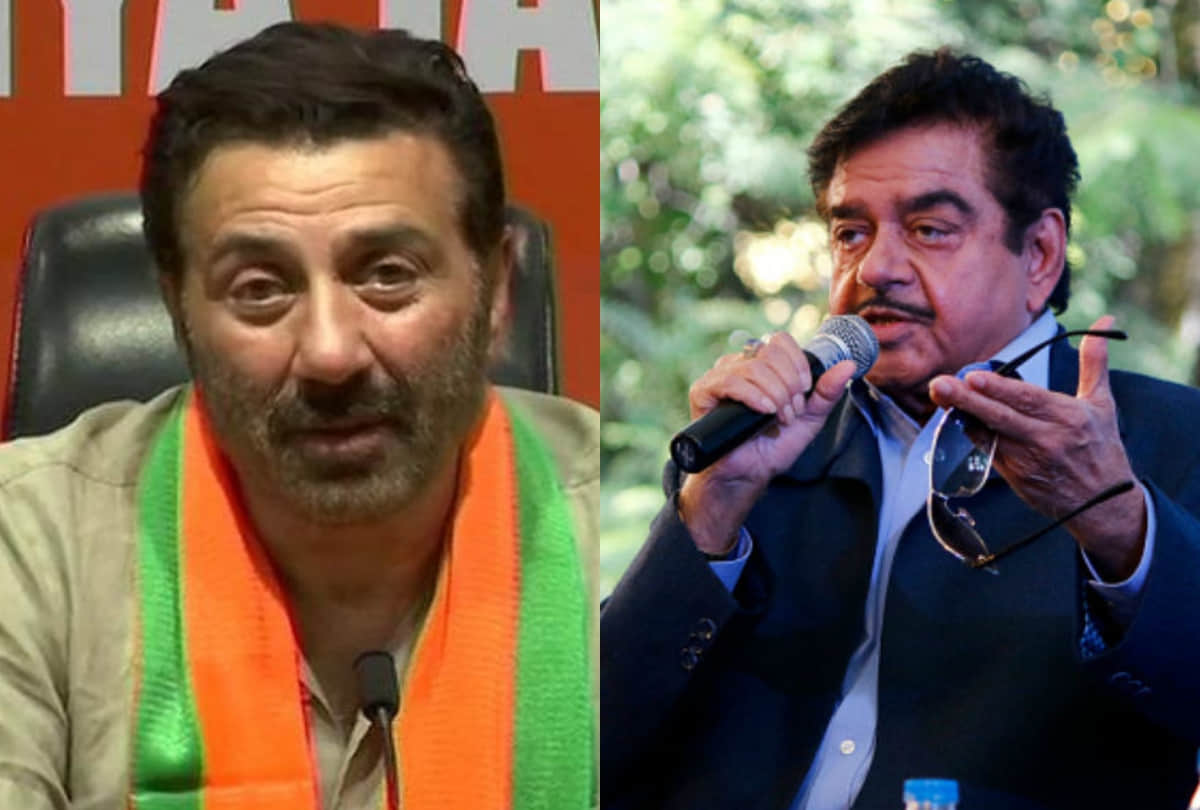 celebs who won and lost loksabha election with big difference