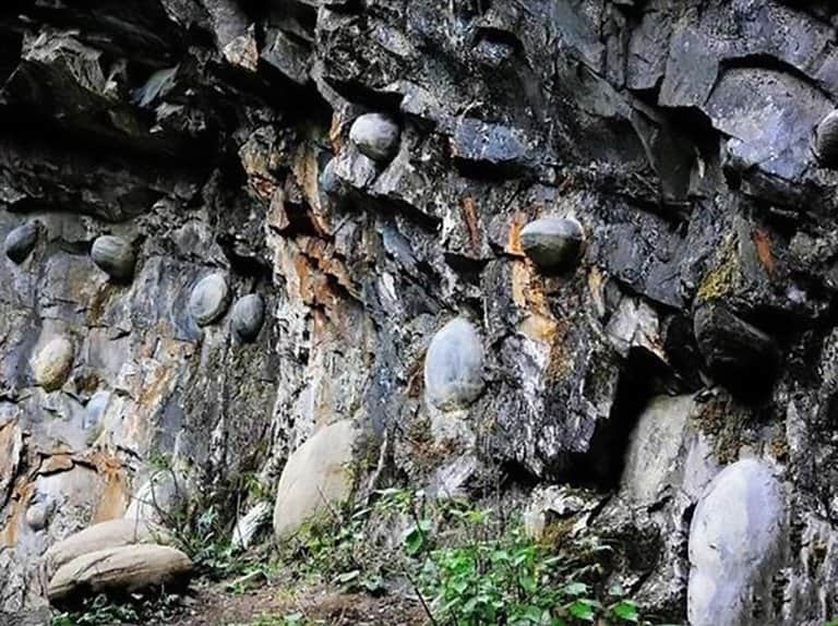 stone lays eggs in this country in every 30 years
