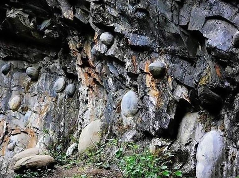 stone lays eggs in this country in every 30 years