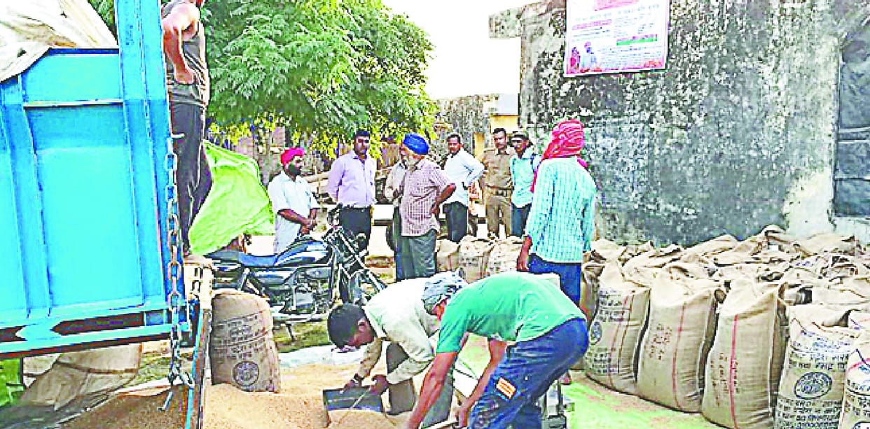 SDM reviewed wheat procurement centers