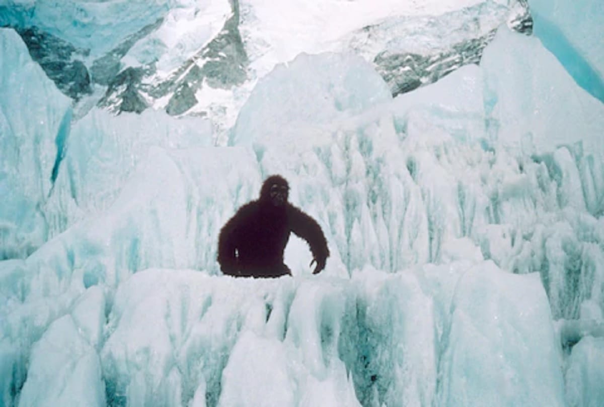 indian army found himalayan mystery yeti footprints in snow know everything
