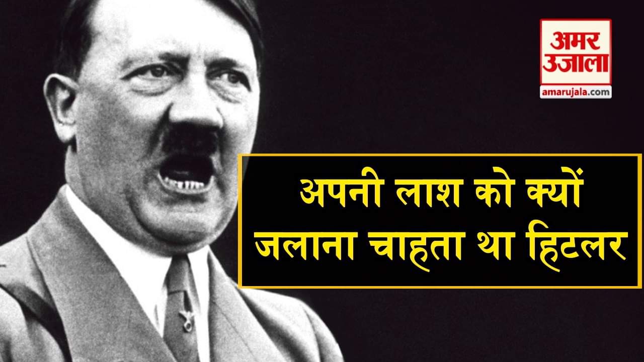 डिजाइन पिक्चर