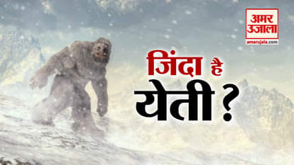 indian army tweet pictures of Mysterious 'yeti'