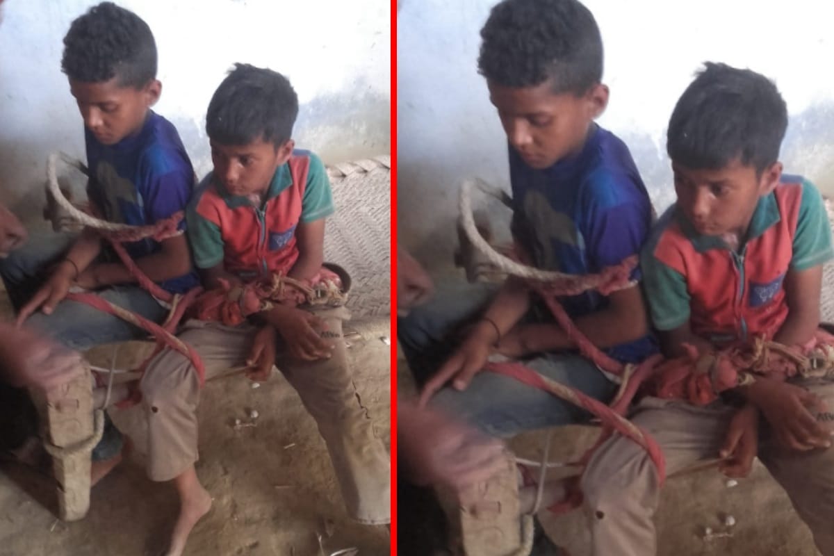 up child brothers beaten in the suspect of steal  pigeon