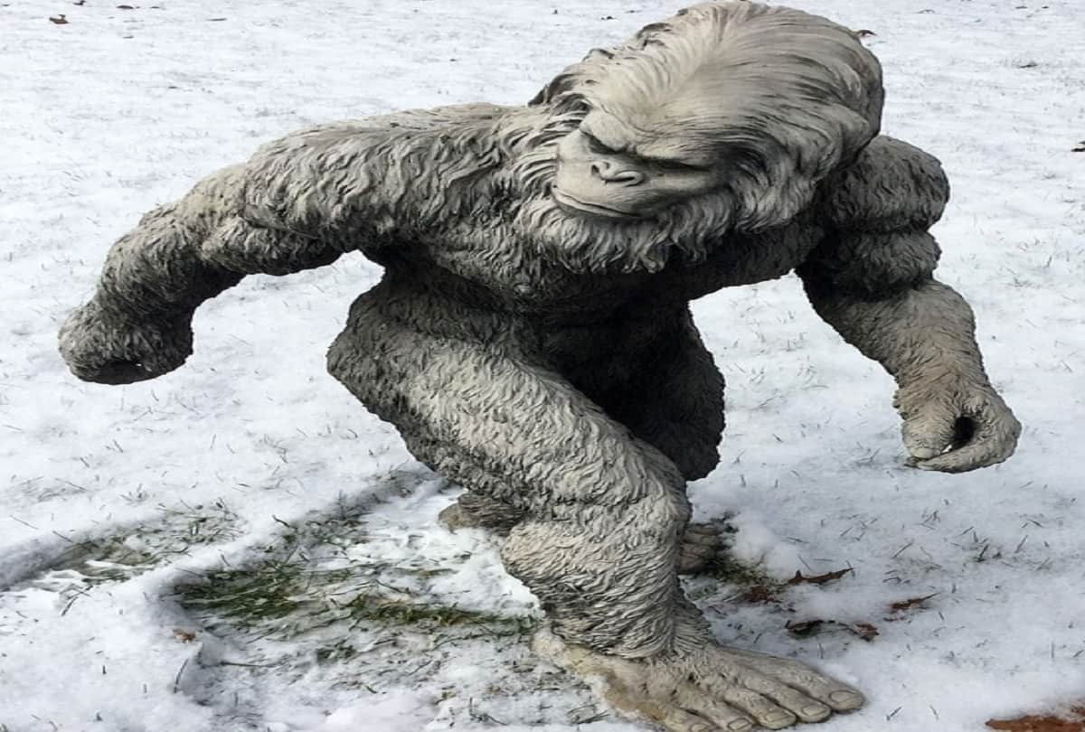 indian army found himalayan mystery yeti footprints in snow know everything