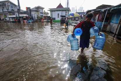 dry and torrid summer land and ocean temperature increased in January 2019