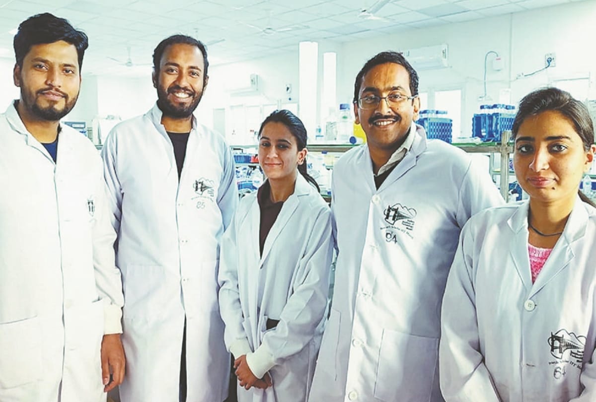 IIT Mandi Research ghee meat chocolate and fish able to stop lever fat