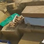 सांकेतिक तस्वीर