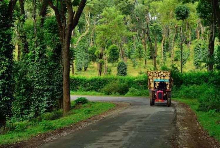 Coorg Karnataka Beautiful Places To Visit - Amar Ujala Hindi News Live -  नदी, झरने, पहाड़ और चाय के मनमोहक बगान हैं यहां की असली पहचान, जानिए इस जगह  की खासियत