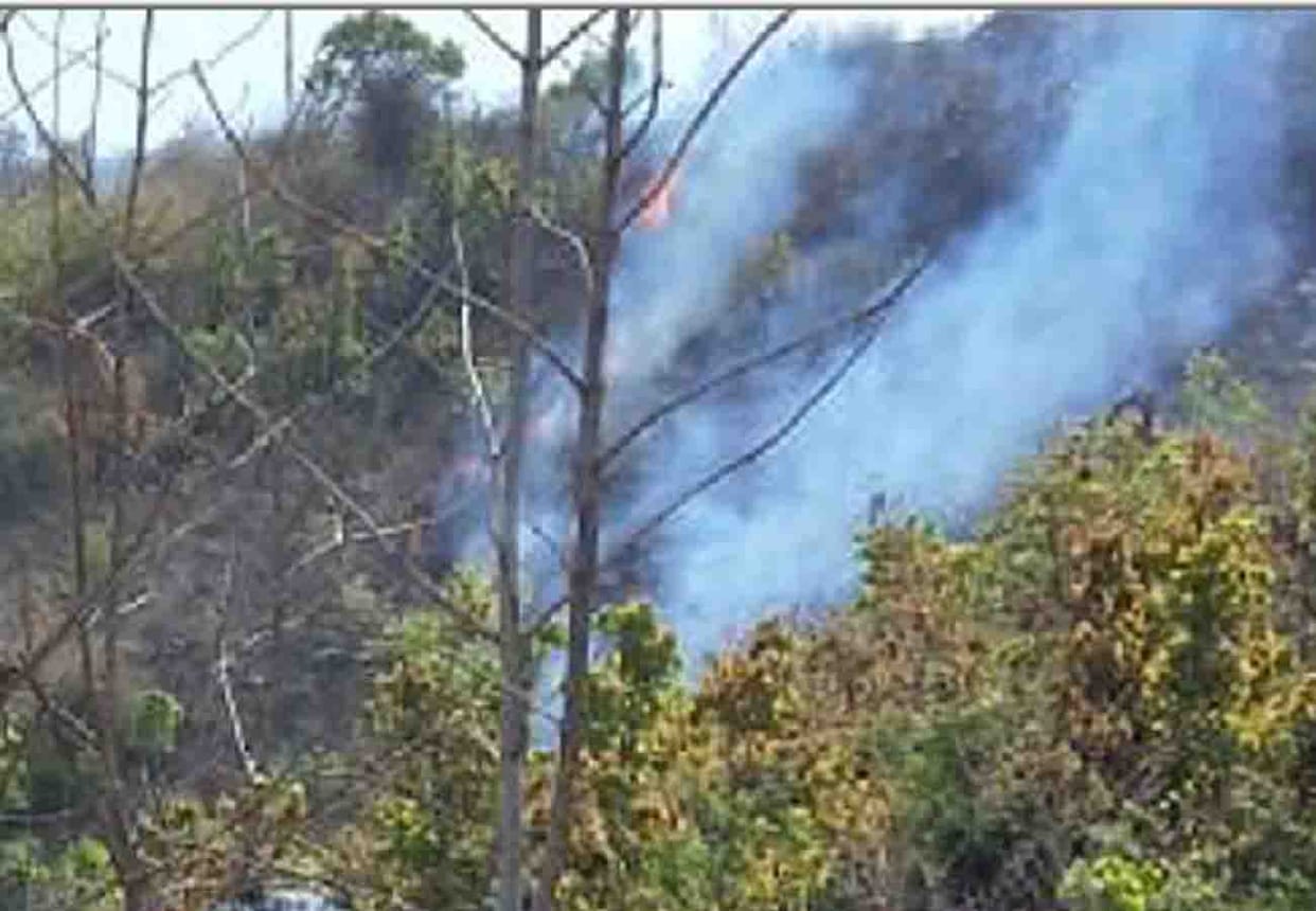 forest caught Fire in Chitrakoot