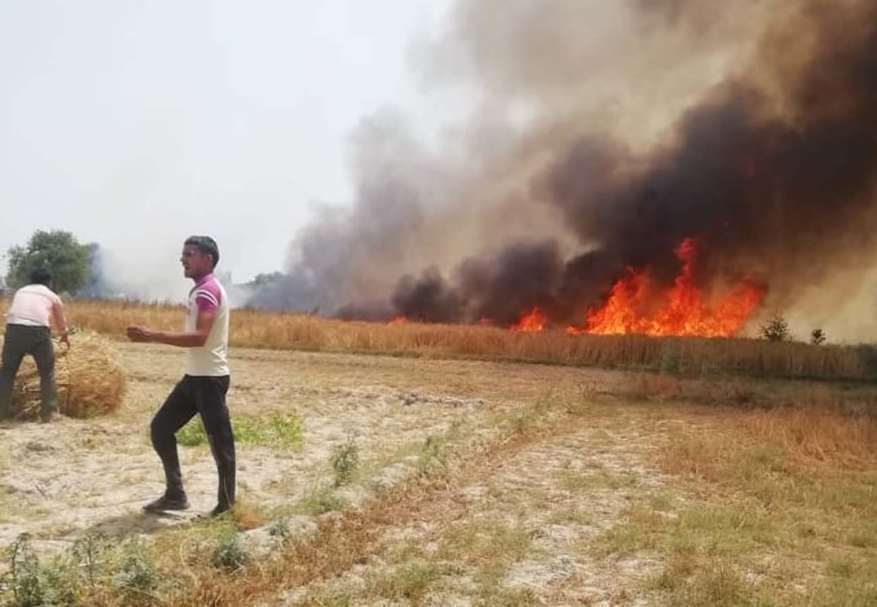 wheat crop caught fire in maharajpur kanpur