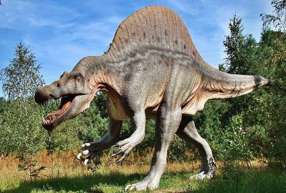 Interesting facts about dinosaurs were either humongous or tiny know causes