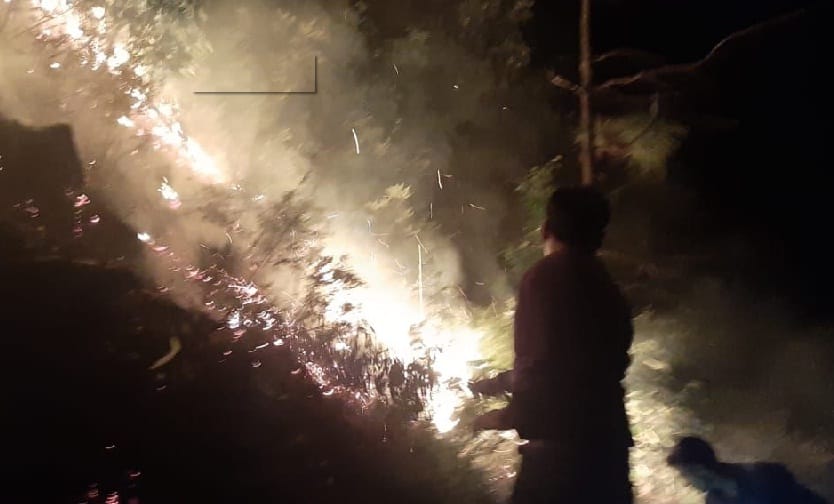 Burning forest, difficult to control the fire