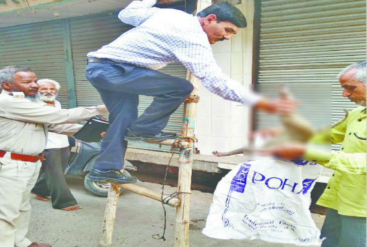 monkeys dies in vrindavan mathura