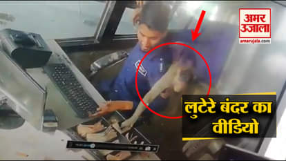 MONKEY CAUGHT DURING ROBBERY IN TOLL PLAZA