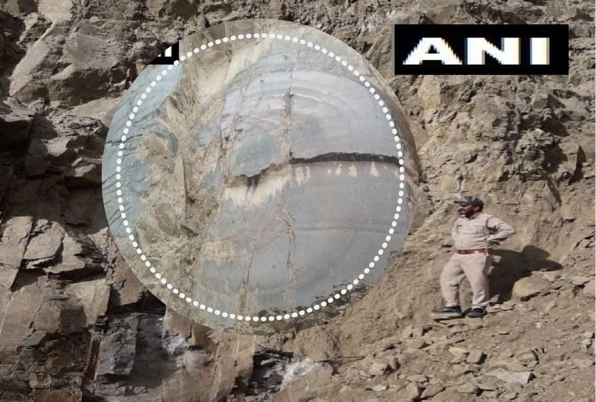 Tree fossil of Mesozoic geological era found in Kharapathar Shimla