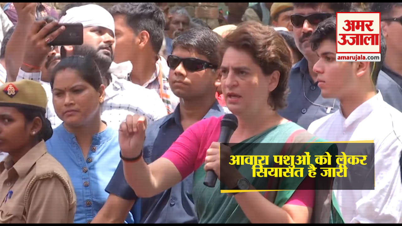 इंडिया न्यूज