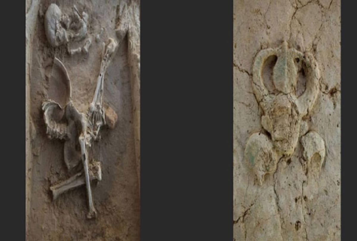 Farmers have got 4000 year old crafts village antiquities even during farming